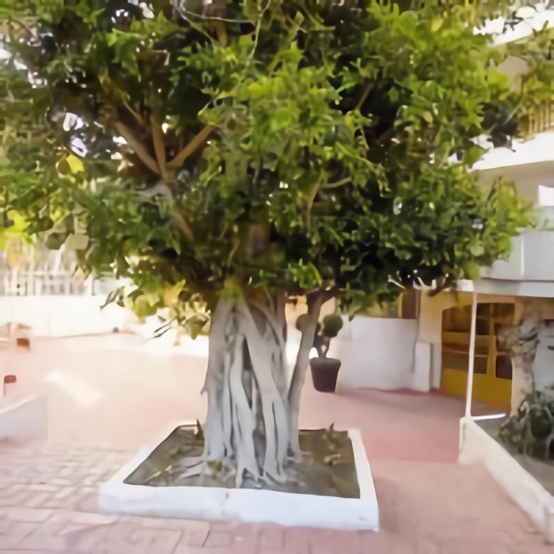Luminoso Apartamento En Salou Con Terraza Y Parque Infantil Ideal Familias Exteriör bild
